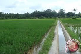  Saluran Waduk Pacal 148 Km Diperbaiki Antisipasi Waduk Gongseng